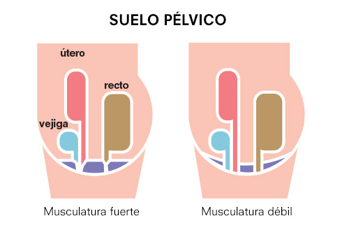 perdida orina kegel
